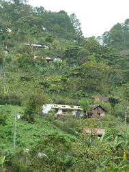 Mayan home scattered on a hillside south of 
 Coban, Guatemala